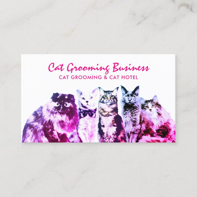 Tarjeta De Visita Salon Rosado Grooming Cats Spa (Anverso)