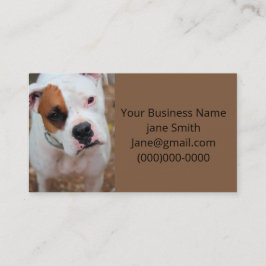 Tarjeta De Visita Salto