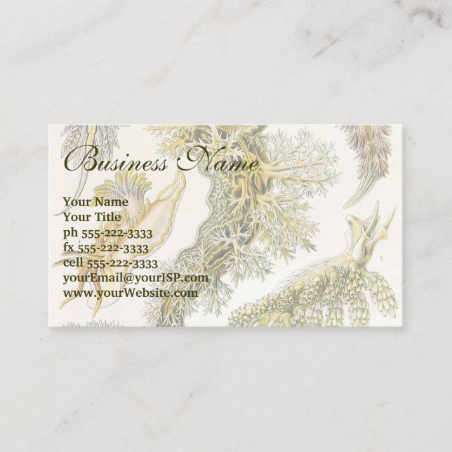 Tarjeta De Visita Saltos marinos por Ernst Haeckel, Nudibranchia vin (Anverso)