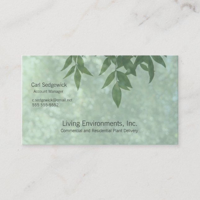 Tarjeta De Visita Saltos verdes (Anverso)