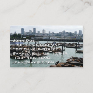 Tarjeta De Visita San Francisco y leones marinos del Pier 39 panoram