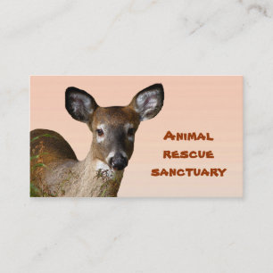 Tarjeta De Visita Santuario animal del rescate