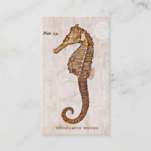 Tarjeta De Visita Seahorse del vintage - Seahorses antiguos