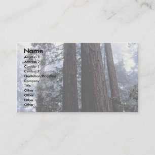 Tarjeta De Visita secuoyas costeras, Lady Bird Johnson Grove, Califo