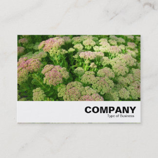 Tarjeta De Visita Sedum "Alegría del otoño"