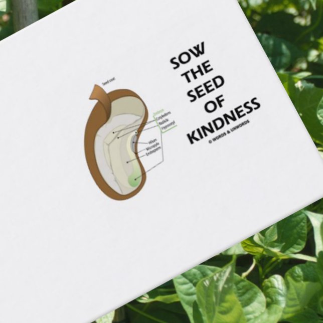 Tarjeta De Visita Sembrar La Semilla De La Amabilidad (Semilla Dicot (Dicotyledon bean biz card for anyone who wishes to encourage others to 
"Sow The Seed Of Kindness")