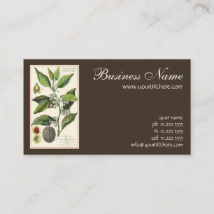 Tarjeta De Visita Semillas de fruto de planta de nuez moscada vintag