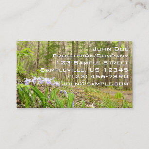 Tarjeta De Visita Sendero de Smoky Mountain en primavera