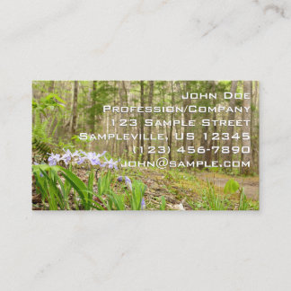 Tarjeta De Visita Sendero de Smoky Mountain en primavera