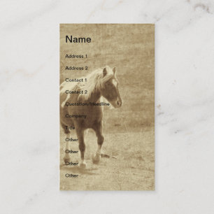 Tarjeta De Visita Sepia Pinto Pony