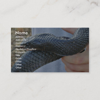 Tarjeta De Visita Serpiente índigo oriental (Drymarchon corais coupe