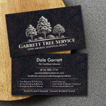 Servicio de árboles arborista profesional