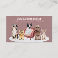 Servicio de boutique para perros pequeños