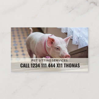Tarjeta De Visita Servicio de cuidador de mascotas