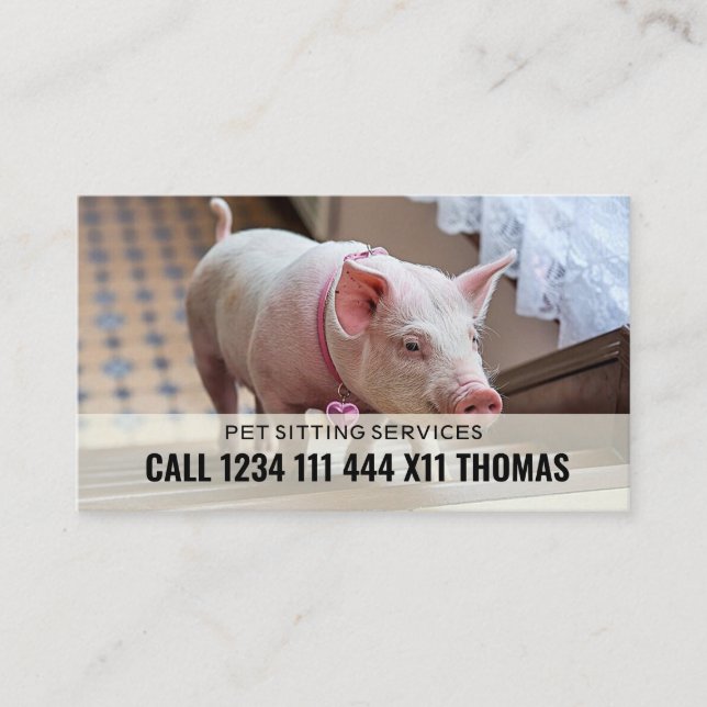Tarjeta De Visita Servicio de cuidador de mascotas (Anverso)