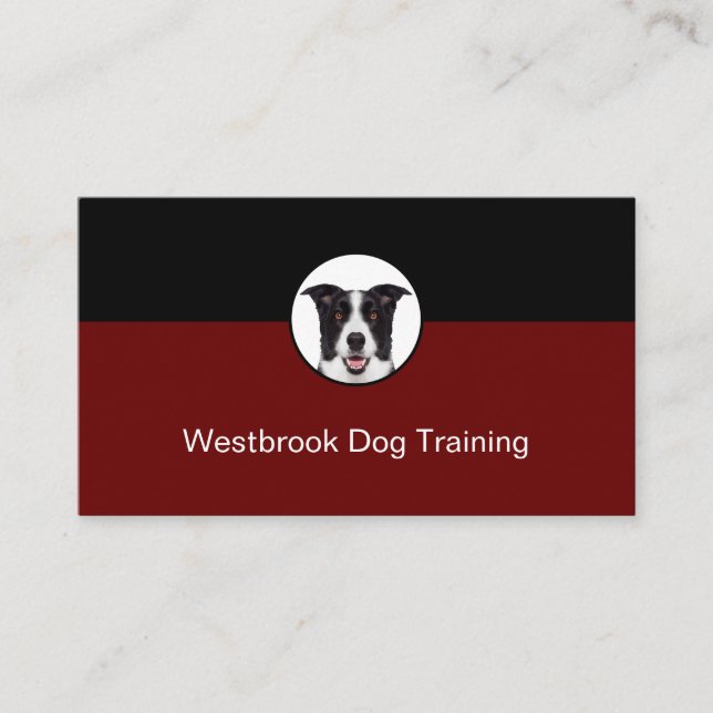Tarjeta De Visita Servicio de formación profesional de perros modern (Anverso)