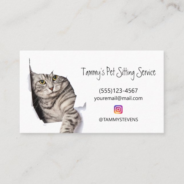 Tarjeta De Visita Servicio de sentada de Mascota de gato lindo medio (Anverso)