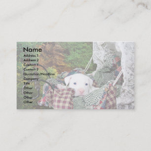 Tarjeta De Visita Servicio que se sienta del mascota de encargo