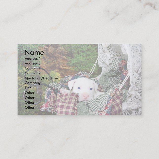 Tarjeta De Visita Servicio que se sienta del mascota de encargo (Anverso)