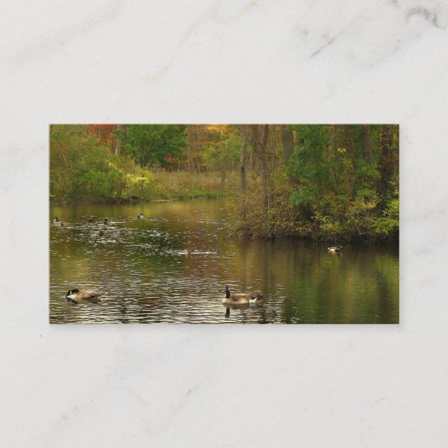 Tarjeta De Visita Servicios de bonos (Anverso)