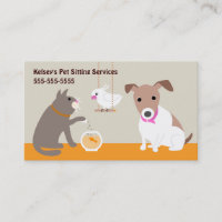 Servicios de sesión de mascota