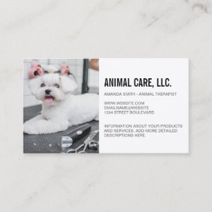 Tarjeta De Visita Servicios para Animales Maltese Recibiendo un As
