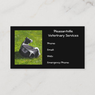 Tarjeta De Visita Servicios veterinarios de la pintura original de