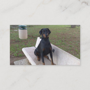 Tarjeta De Visita sesión de doberman pincher