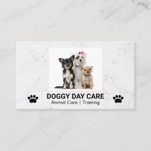 Tarjeta De Visita Sesión de Doggies Cuadros   Groomer   Formador