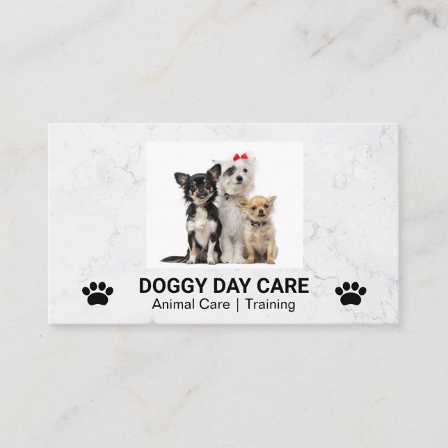 Tarjeta De Visita Sesión de Doggies Cuadros | Groomer | Formador (Anverso)