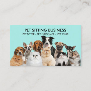 Tarjeta De Visita Sesiones de Fotos de Mascotas Perros Gatos