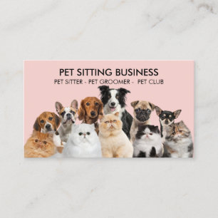Tarjeta De Visita Sesiones de Fotos de Mascotas Perros Gatos Lindos 