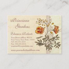 Tarjeta De Visita Shabby Elegance Vintage Poinciana Flowers
