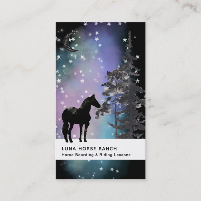 Tarjeta De Visita *~* Shaman Cosmic Stars Moon Horse Equine Rainbow (Anverso)