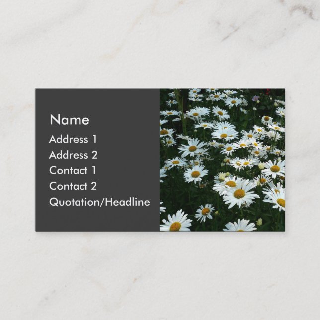 Tarjeta De Visita Shasta Daisies (Anverso)