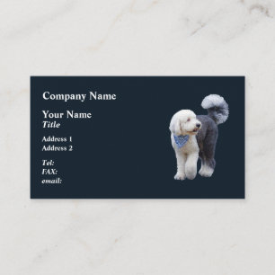 Tarjeta De Visita Sheepadoodle con bufanda azul a cuadros
