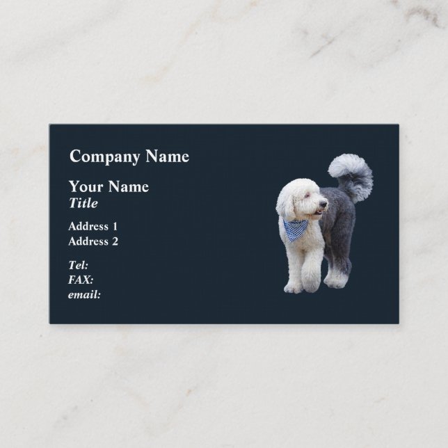 Tarjeta De Visita Sheepadoodle con bufanda azul a cuadros (Anverso)