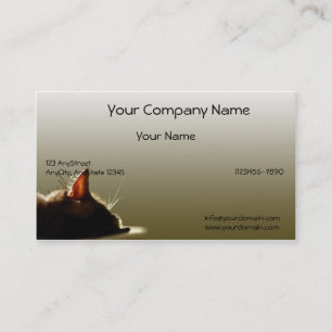 Tarjeta De Visita Siesta verde y gris del gato