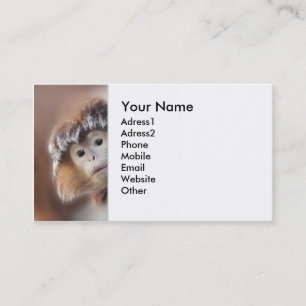 Tarjeta De Visita simio curioso