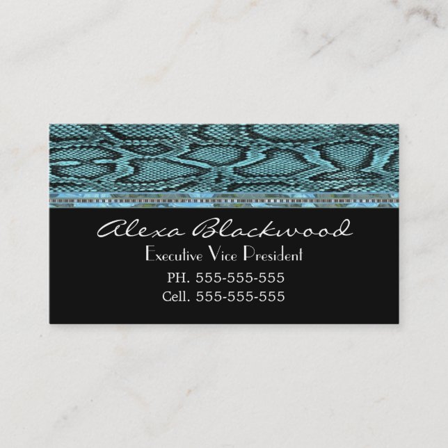 Tarjeta De Visita Slayter Classic Unique Professional (Anverso)