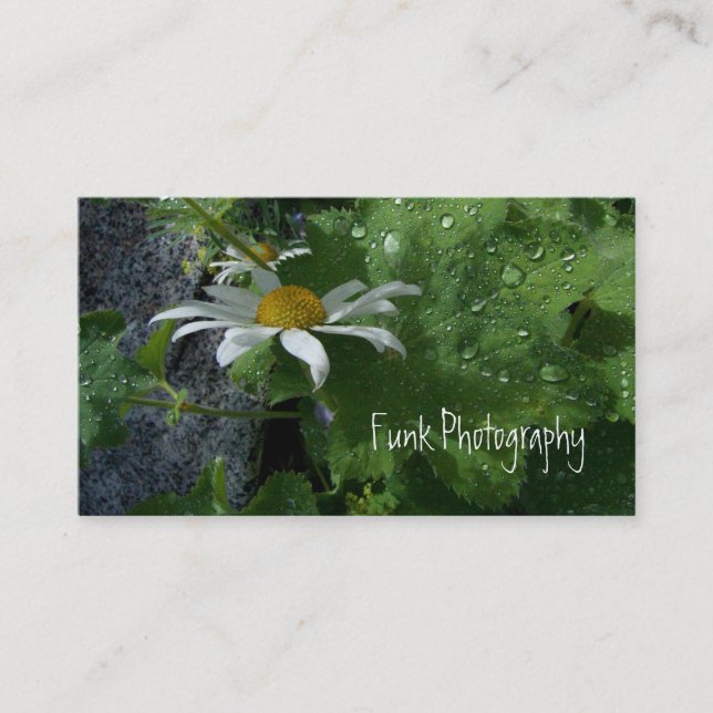 Tarjeta De Visita Sol después de la lluvia (Anverso)