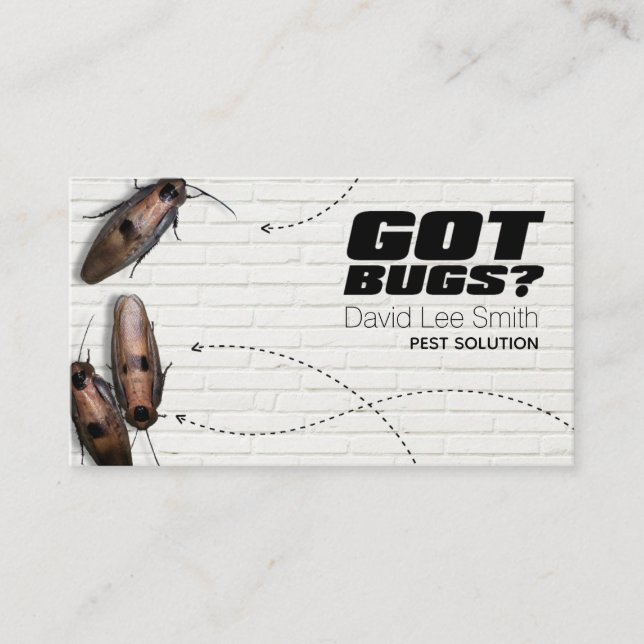 Tarjeta De Visita Solución de plagas (Anverso)