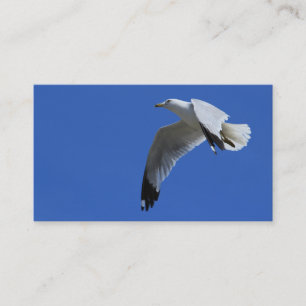 Tarjeta De Visita Sorprendente gaviota con billetera en vuelo