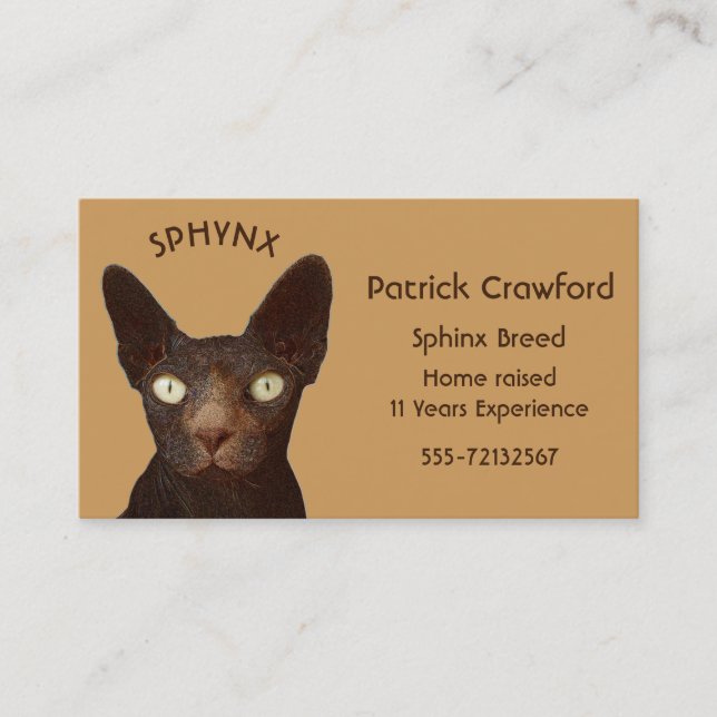 Tarjeta De Visita Sphynx Cat Breeder Y Entrenamiento (Anverso)
