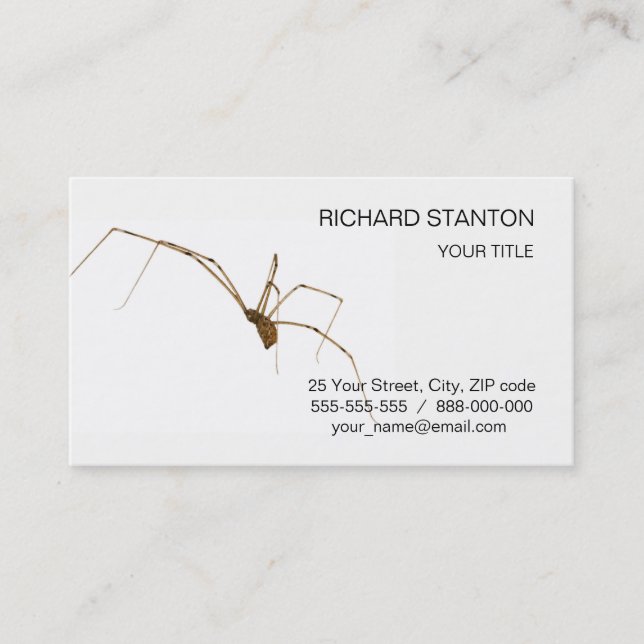 Tarjeta De Visita Spider (Anverso)