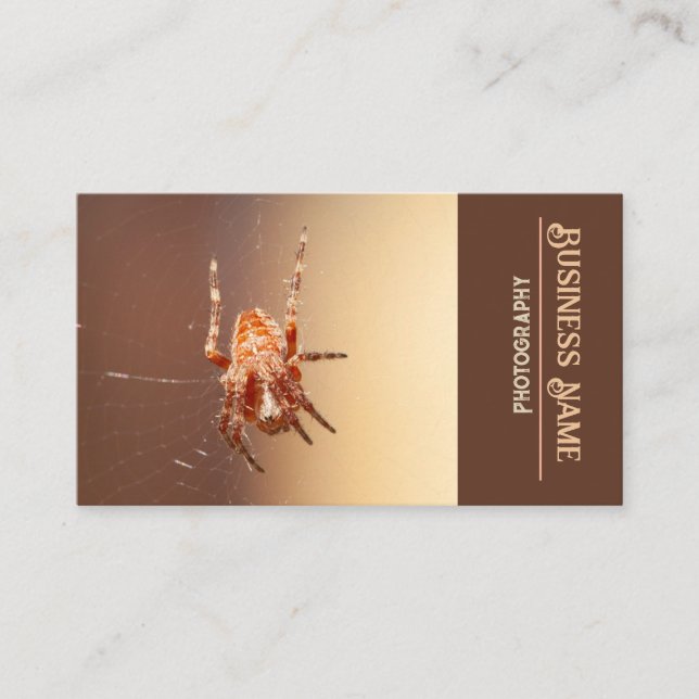 Tarjeta De Visita Spider (Anverso)