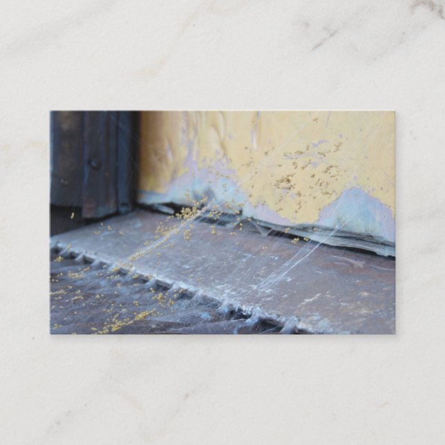 Tarjeta De Visita Spider Web (Anverso)