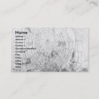 Tarjeta De Visita Spider web