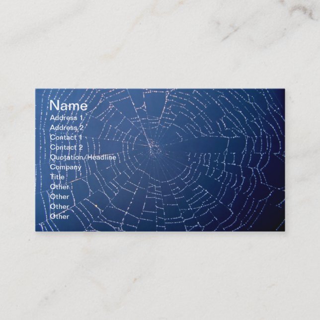 Tarjeta De Visita Spiderweb (Anverso)