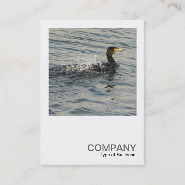 Tarjeta De Visita Square Photo 0359 - Cormorant aprendiendo a nadar (Anverso)